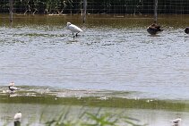 IMG_1969 null