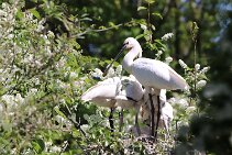 IMG_1538 null