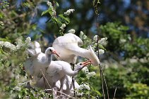 IMG_1581 null