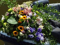 P6215360 null