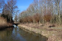 Wilhelminapark_10 null