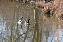 Wilhelminapark_19 null