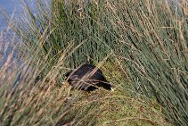 Wilhelminapark_6 null