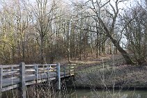 Wilhelminapark_7 null