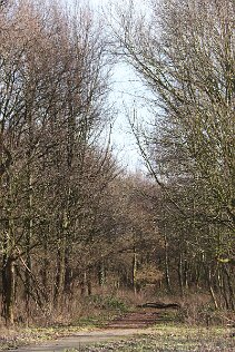 Wilhelminapark_9 null