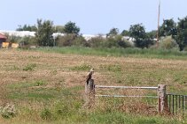 IMG_2057 null