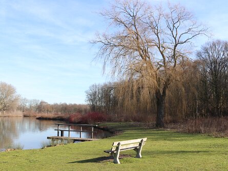 Wilhelminapark Rijswijk